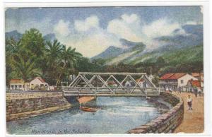 River Bridge View Nuuana Valley Honolulu Hawaii 1910s postcard