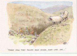 Sheep and the Hikers Humorous modern English, artist signed postcard