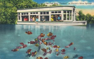 USA The Fish Play Football at Florida's Silver Springs 05.94