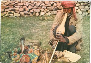 India, Cobra and the Snake Charmer, 1977 used Postcard
