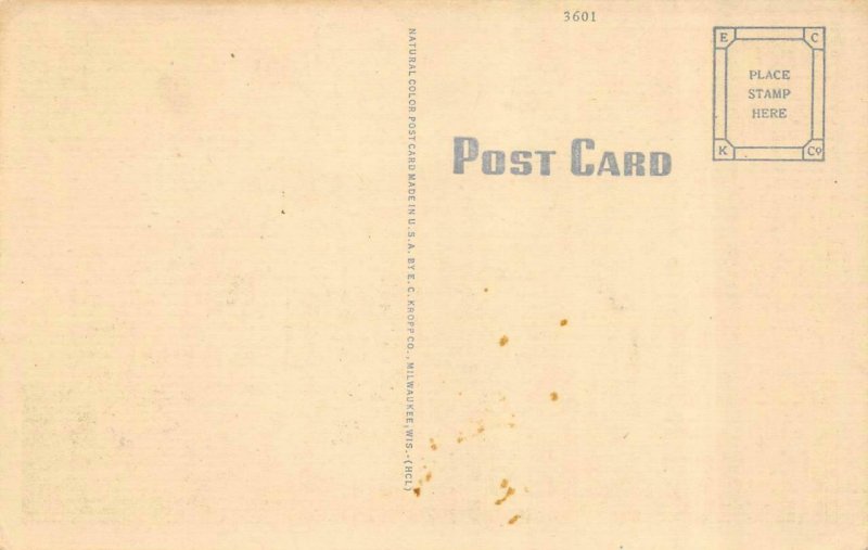 BELOIT, WI Wisconsin   PUBLIC LIBRARY  Rock County   c1940's Linen Postcard