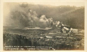 Postcard California Scotia Factory Mills Pacific Lumber Logging Humor 21-2139