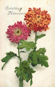Floral vintage greetings postcard New Year orange flower Belgium