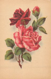 Flowers themed vintage greetings postcard drawn red roses France