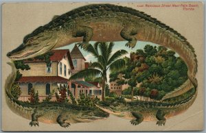 WEST PALM BEACH FL NARCISSUS STREET ALLIGATOR BORDERS ANTIQUE POSTCARD