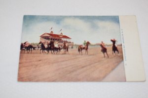 17. Sheepshead Bay Brooklyn New York Postcard