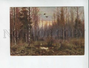 472119 RUSSIA Graf MURAVIEV first snipe Woodcock HUNT Vintage Bild Kunst Germany