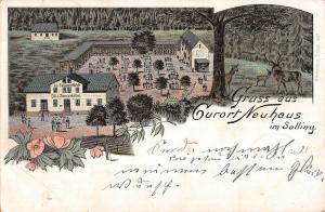 BG19217 gruss aus curort neuhaus im solling germany litho