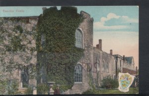 Somerset Postcard - Taunton Castle    RS16985