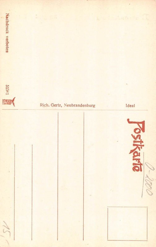 Germany Neubrandenburg i M Stargarder Tor postcard