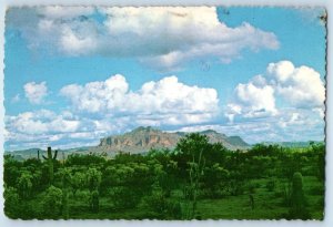 1975 Mesa Arizona AZ Vintage Postcard Superstition Mountains Field Foreground