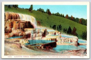 Cleopatra Terrace Mammoth Hot Springs Yellowstone National Park Postcard