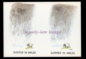 BES063 - Raining - Winter in Wales - Summer in Wales - Besley comic postcard