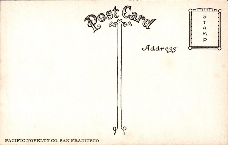 Postcard Birds Eye View Residence Section Capitol Hill, Seattle, Washington