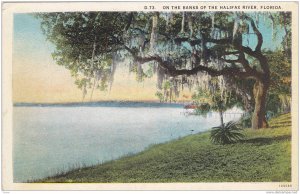 On the Banks of the Halifax River, Florida, 1900-1910s