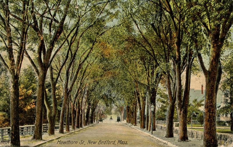 MA - New Bedford. Hawthorn Street circa 1900