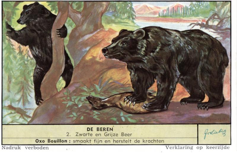 VICTORIAN TRADE CARD, LIEBIG BEAR SERIES (5 CARDS).