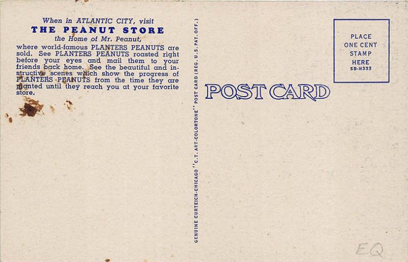 Atlantic City NJ Planters Peanuts Duo View Multi-View Curt Teich Postcard 