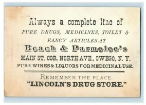 1880's Lovely Lincoln's Drug Store Beach & Parmelee's Victorian Trade Card P141