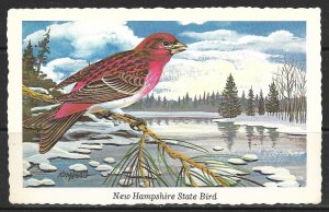 New Hampshire - State Bird - Purple Finch