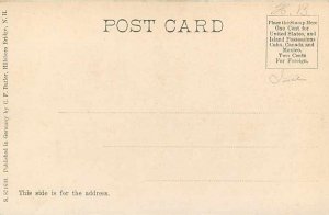 NH, Hillsboro Centre, New Hampshire, Log Cabin, Loon Lake, Butler No 871630