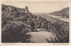 HEIDELBERG - CASTLE OVER THE RHINE