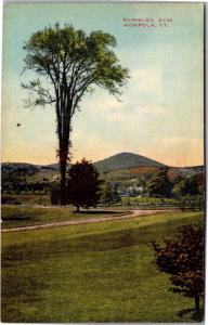 Elmslea Elm, Norfolk Connecticut Vintage Postcard M05