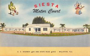 Williston FL~Siesta Motor Court~Roadside Motel~Cartoon Characters~1950 Linen 