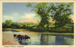 philippines, Feathery Bamboo (1930s)