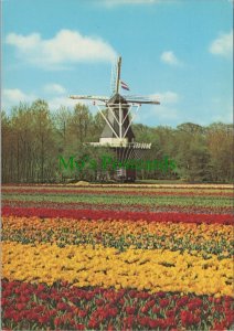 Netherlands Postcard - Molenland, Land of Flowers and Windmills  RR19819