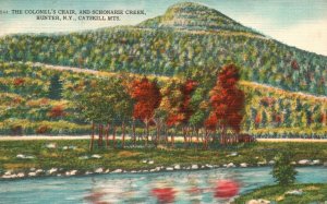 Vintage Postcard Colonel's Chair Schonarie Creek Catskill Mts. Hunter New York