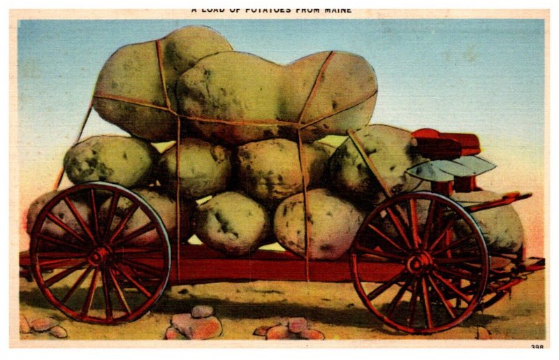 Exaggeration  A load of Potatoes from Maine