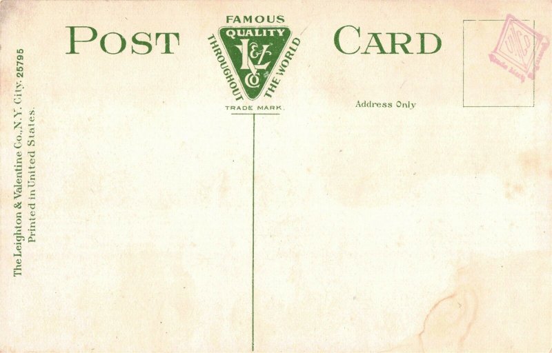 Mauch Chunk & East Mauch Chunk, Pa. from Flagstaff Mt. Postcard 2T5-310 