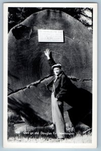 c1940's Old Douglas Fir Washington Coupeville WA RPPC Photo Vintage Postcard