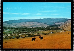 I Like Missoula Montana Postcard horses grazing over town