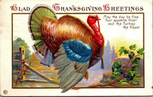 Thanksgiving Greetings Turkey May the Day be Fine Your Appetite Finer Postcard