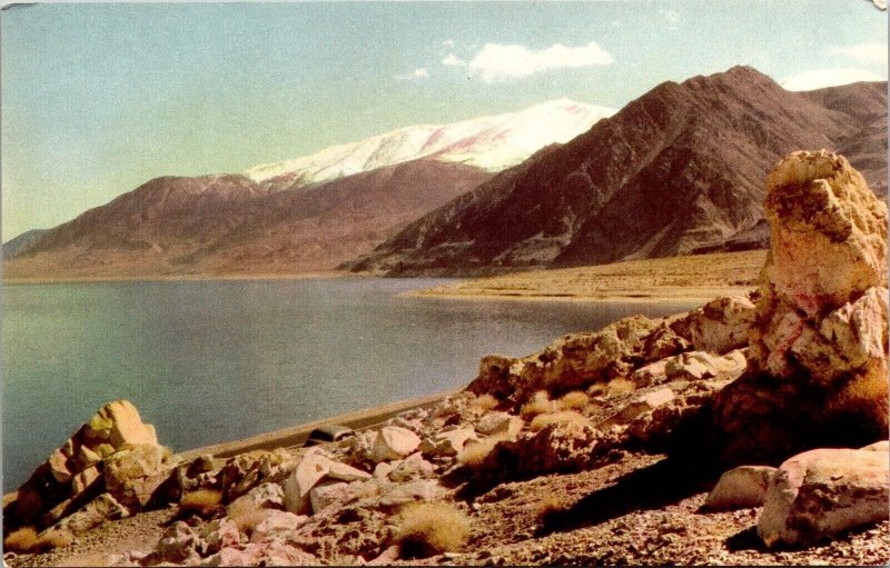 Desert Walker Lake Nevada Large Prehistoric Sea Union Oil Company Postcard UNP 