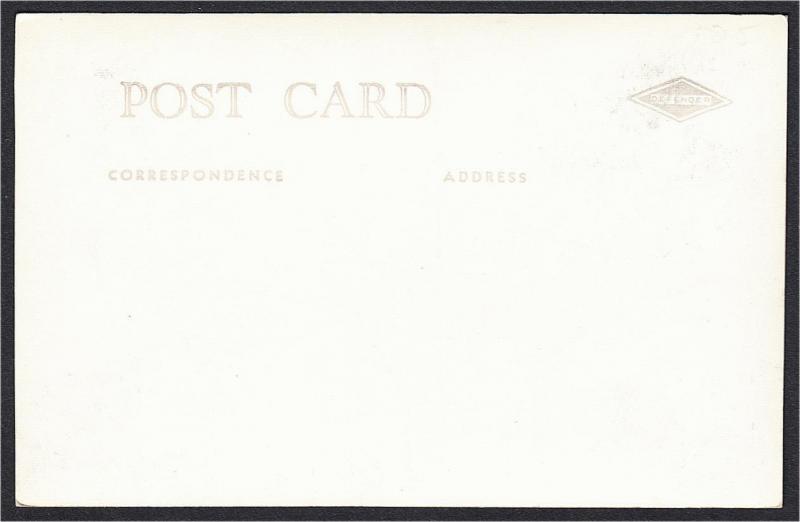 Male Moose Bellowing in a Field RPPC Postcard c.1910s