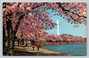 People At Tidal Basin with View of Washington Monument VINTAGE Postcard 0924