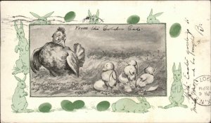 Easter - China Related Chinese Chicks Just Hatched c1905 Postcard