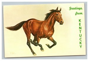 Vintage 1960's Postcard Greetings From Kentucky - Land of Beautiful Horses