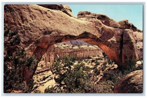 c1960's Hickman Natural Bridge, Capitol Reef National Monument UT Postcard