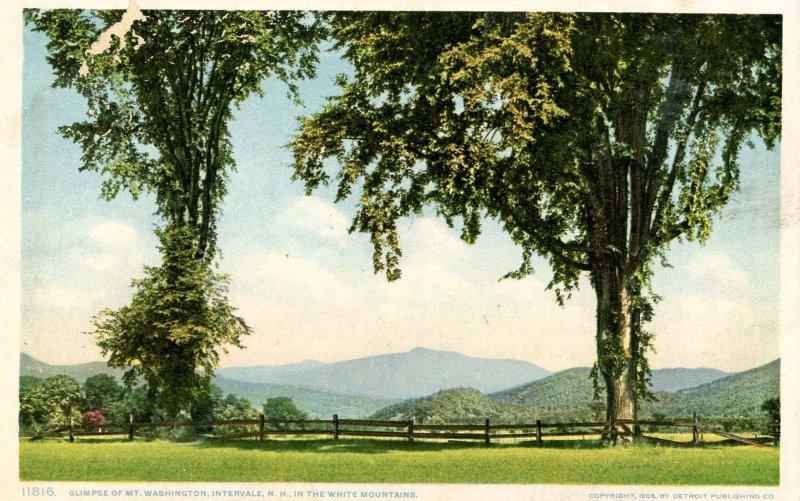 NH - Intervale. Mt. Washington in the Distance