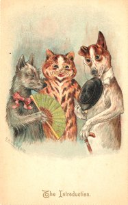 Louis Wain Artist The Introduction  Raphael Tuck Mint Condition, Postcard