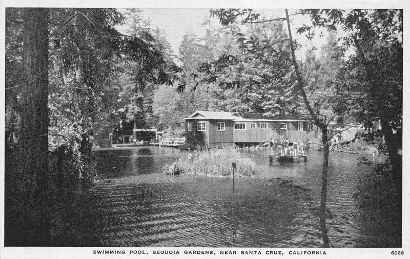 Santa Cruz California~Sequoia Gardens Swimming Pool~Kids on Swim Deck~1920s Pc