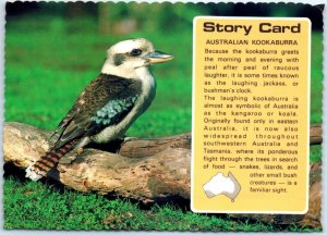 M-49352 Australian Kookabura Story Card Australia