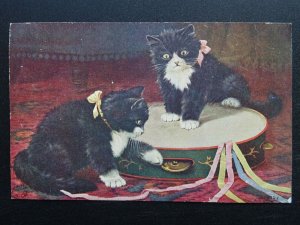 TWO KITTENS PLAYING WITH A TAMBOURINE c1919 Postcard by Raphael Tuck 8883