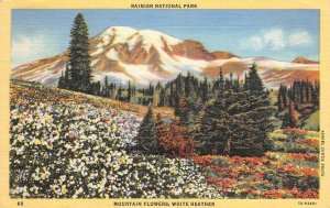 RAINIER NATIONAL PARK, WA Mountain Flowers, White Heather 1946 Vintage Postcard