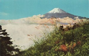 Vintage MT Fuji Panorama Park Japan Postcard - Mitsutoge Scenic View