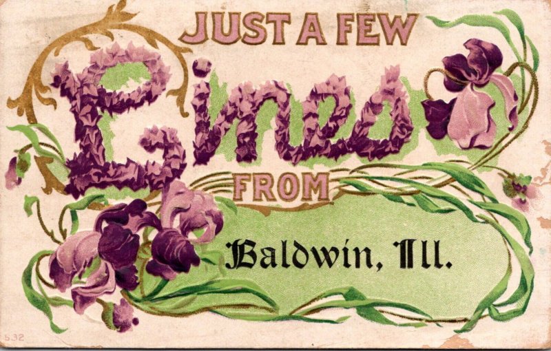 Illinois Baldwin Just A Few Lines With Beautiful Flowers 1909